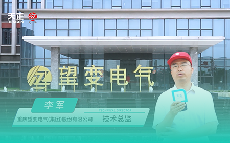 pg电子在线模拟器x望变电气